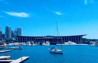 各位寶貝！！不如我哋再去一次青島奧帆中心啦？！