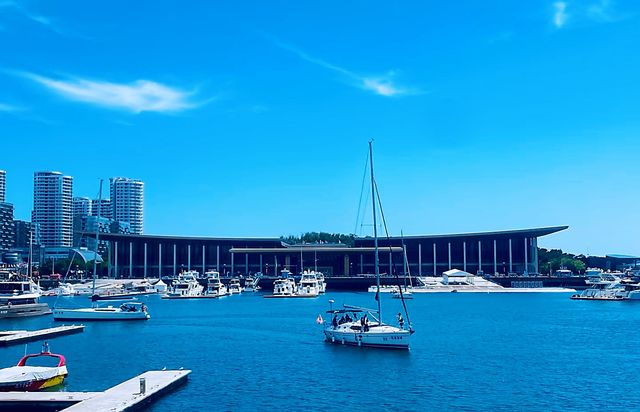 各位寶貝！！不如我哋再去一次青島奧帆中心啦？！