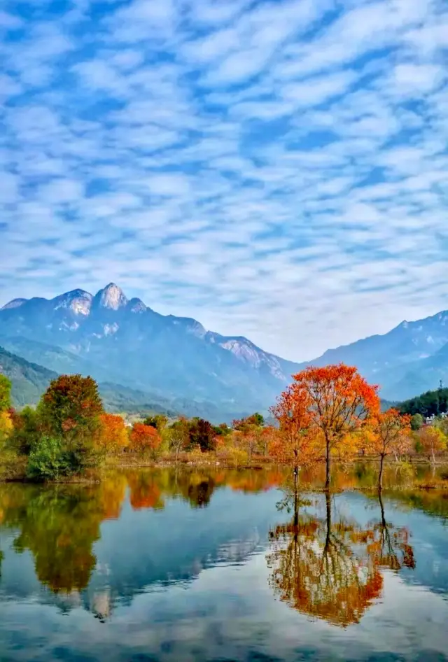 The Overlooked Hidden Gem City: Autumn Secrets of Lu’an