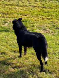 冰島維克教堂+塞里雅蘭瀑布自駕遊絕美機位大公開！