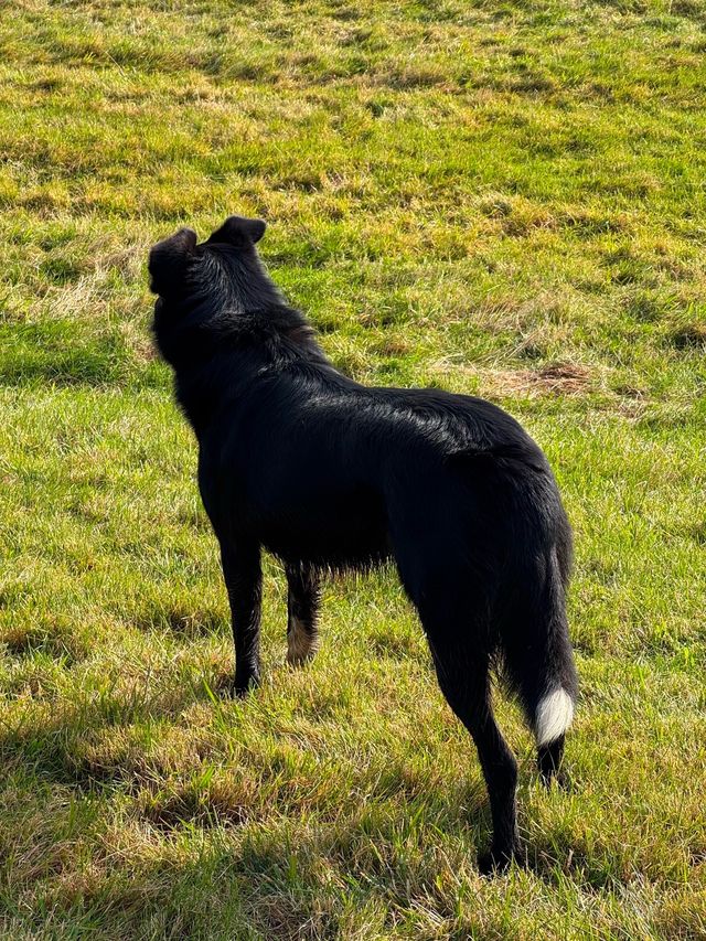 冰島維克教堂+塞里雅蘭瀑布自駕遊絕美機位大公開！