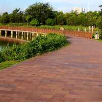 湛江,藏著一片會發光的海!這份保姆級攻略請收好!