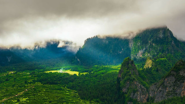 甘南秘境自駕攻略｜闖入魔戒同款魔幻森林
