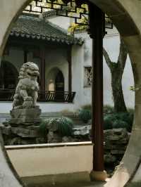 崂山親子賞秋5大景區+親子路線|帶娃解鎖古樹紅楓