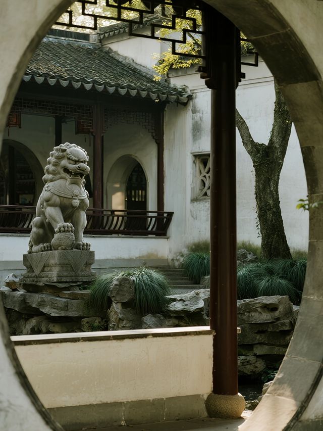 崂山親子賞秋5大景區+親子路線|帶娃解鎖古樹紅楓 崂山親子賞秋5大景區+親子路線|帶娃解鎖古樹紅楓