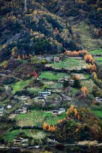 這裡的秋色不等人