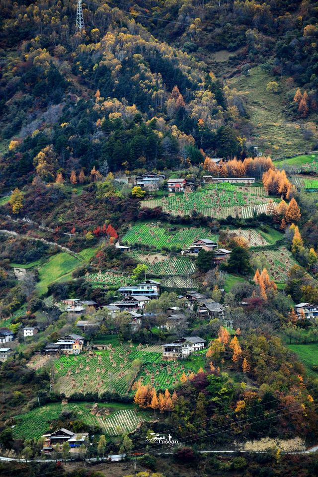 這裡的秋色不等人