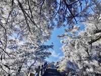 九華山首現霧淞奇觀,冬日仙境限時開啟