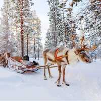 北歐多國12日精華遊 不看後悔系列