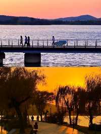 無錫免費躺平寶地！蠡湖渤公島逛吃一整天，紅嘴鷗+湖景絕了