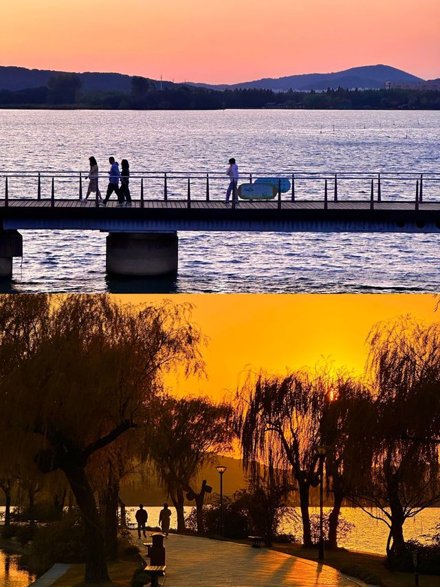 無錫免費躺平寶地！蠡湖渤公島逛吃一整天，紅嘴鷗+湖景絕了