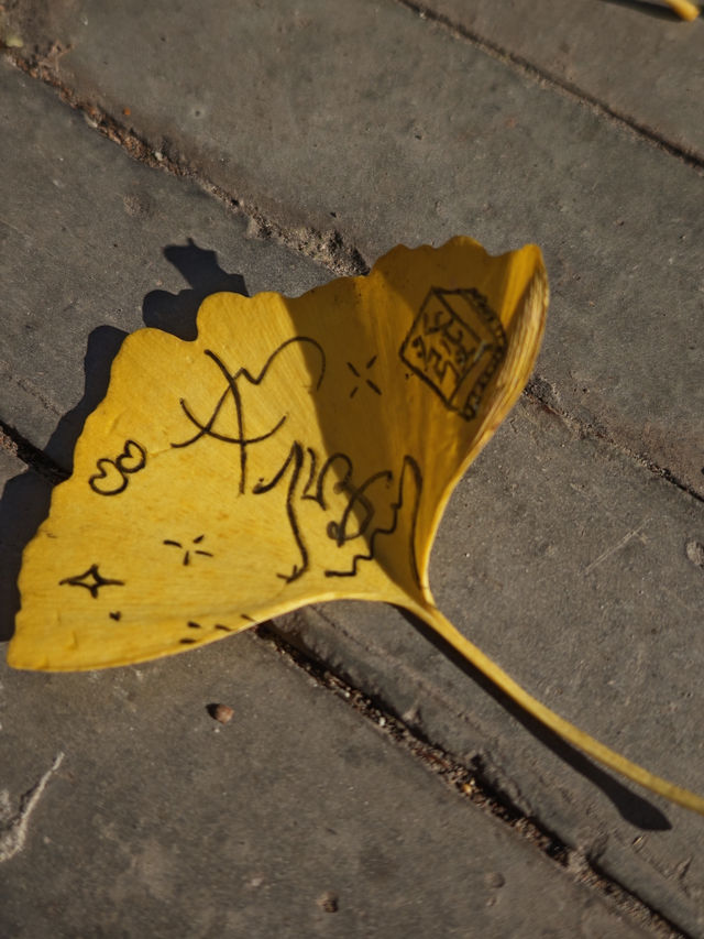 西昌秋旅藏驚喜!和悅庭院的銀杏,竟成手作限定浪漫 西昌秋旅藏驚喜!和悅庭院的銀杏,竟成手作限定浪漫