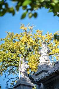 秋日禪意裡的金陵秘境