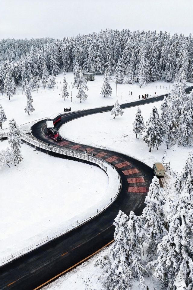 是童話裡的雪景啊,這裡美哭了! 是童話裡的雪景啊,這裡美哭了!