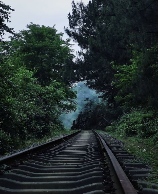 貴陽小眾拍照聖地！廢棄軌道隨手拍出大片感