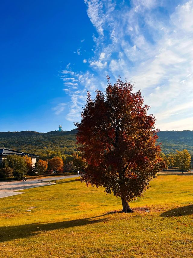 瀋陽必爬棋盤山攻略 瀋陽必爬棋盤山攻略