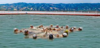 Trận tuyết rơi đầu tiên vào mùa đông ở núi Luyashan đã biến đổi khu vực này thành một cảnh quan tuyệt đẹp, phủ đầy bạc.