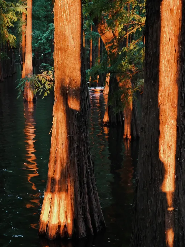肇慶星湖靜待落日｜把夕陽揉進玻璃船裡