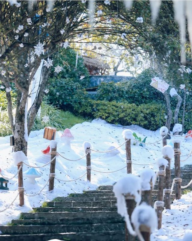 古滇賞雪季，雪花已就位