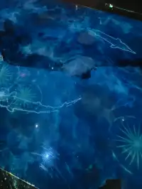 打卡魔都規劃展示館，城市夢工廠