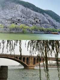 洛陽一地4日遊超全避坑攻略來啦