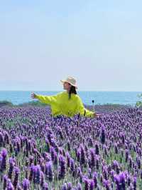 在雲南的山水秘境丘北,我發現了一家能同時收割日出、日落和滿眼荷塘的寶藏酒店——普者黑•野舍AWAKE