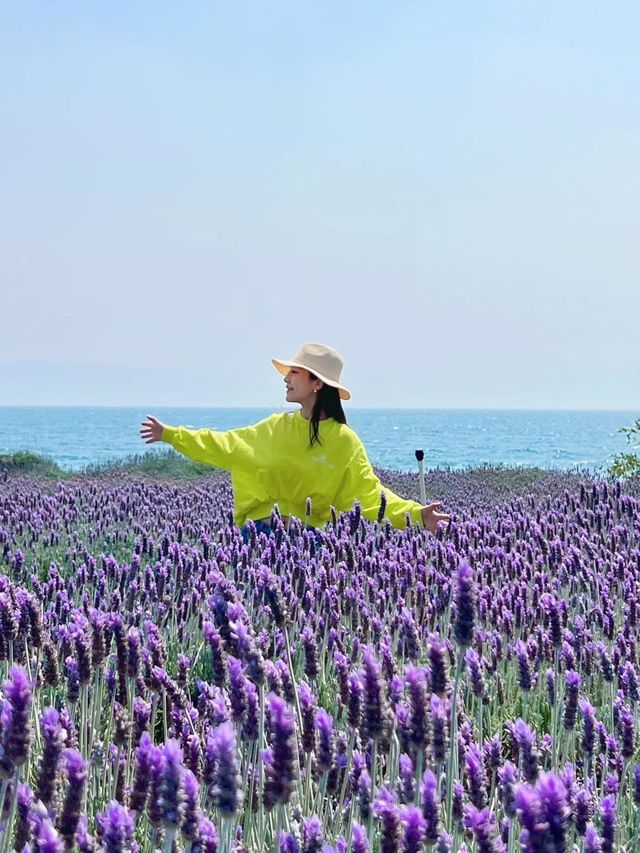 在雲南的山水秘境丘北,我發現了一家能同時收割日出、日落和滿眼荷塘的寶藏酒店——普者黑•野舍AWAKE 在雲南的山水秘境丘北,我發現了一家能同時收割日出、日落和滿眼荷塘的寶藏酒店——普者黑•野舍AWAKE