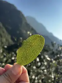 神仙谷隱藏玩法大公開！極限蹦極+深山尋寶