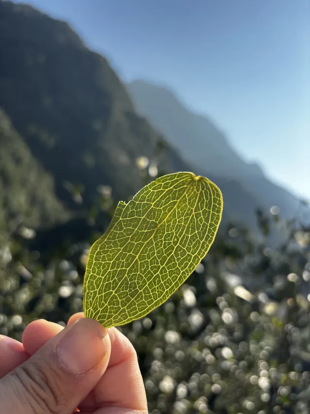 神仙谷隱藏玩法大公開！極限蹦極+深山尋寶