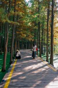 徐州拍照王炸！市區藏「抹茶綠童話秘境」0元出片