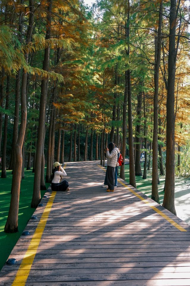 徐州拍照王炸！市區藏「抹茶綠童話秘境」0元出片