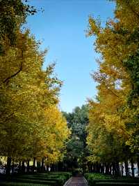 都市中的秋日詩篇