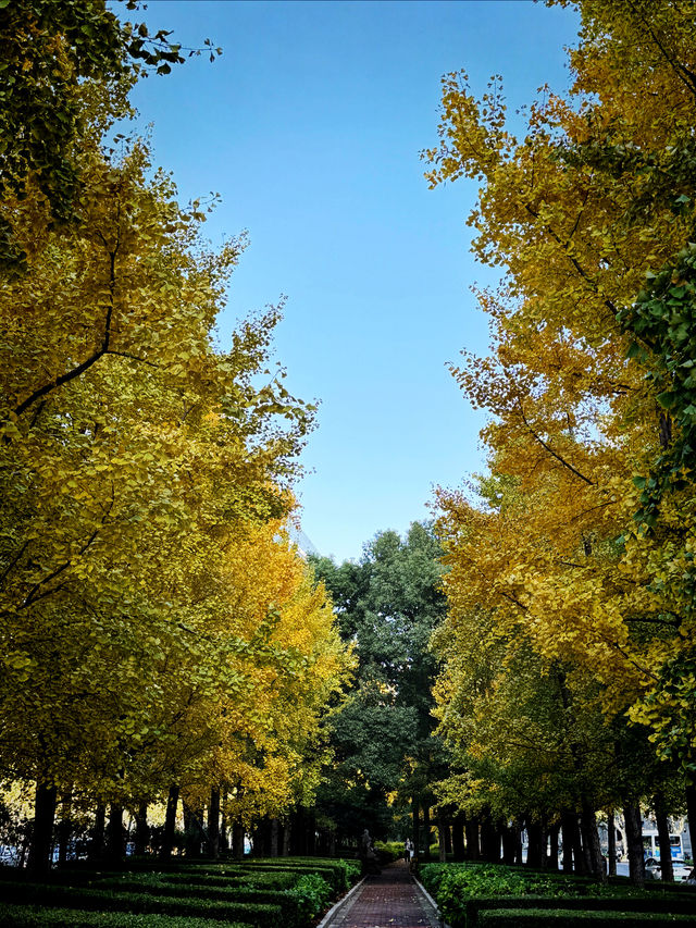 都市中的秋日詩篇 都市中的秋日詩篇