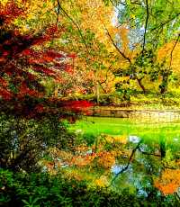 上海也有莫奈的花園