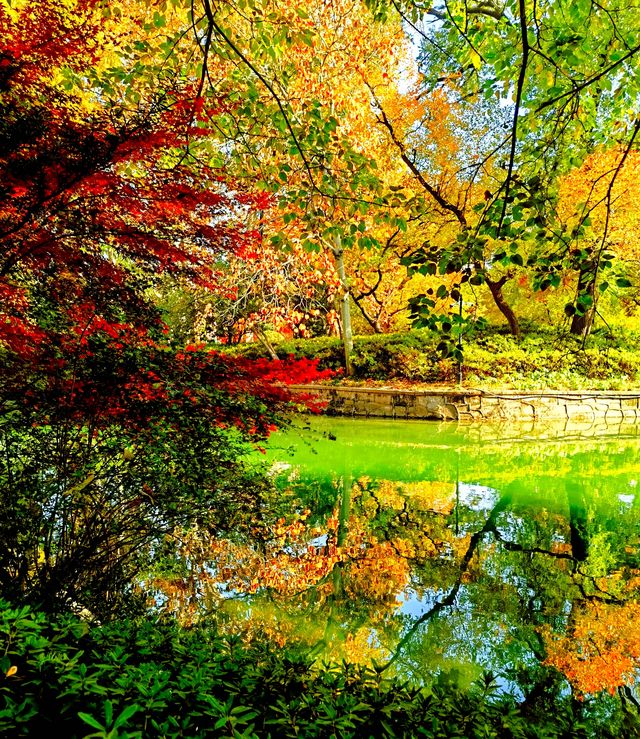 上海也有莫奈的花園 上海也有莫奈的花園
