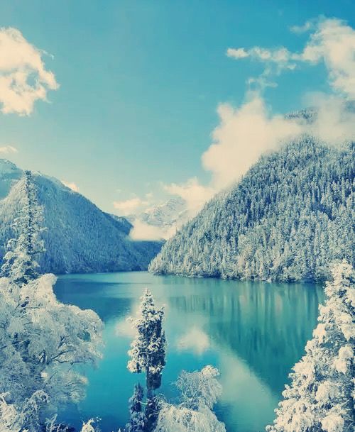 冬幻九寨365天倒映嘅仙境全部喺晒度喇 想逃離城市?一秒鐘墜入藍色仙境!九寨溝嘅冬天真係被嚴 冬幻九寨365天倒映嘅仙境全部喺晒度喇 想逃離城市?一秒鐘墜入藍色仙境!九寨溝嘅冬天真係被嚴