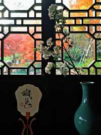 上海世博文化公園裡隱藏的寶藏園林!申園也太仙了叭~