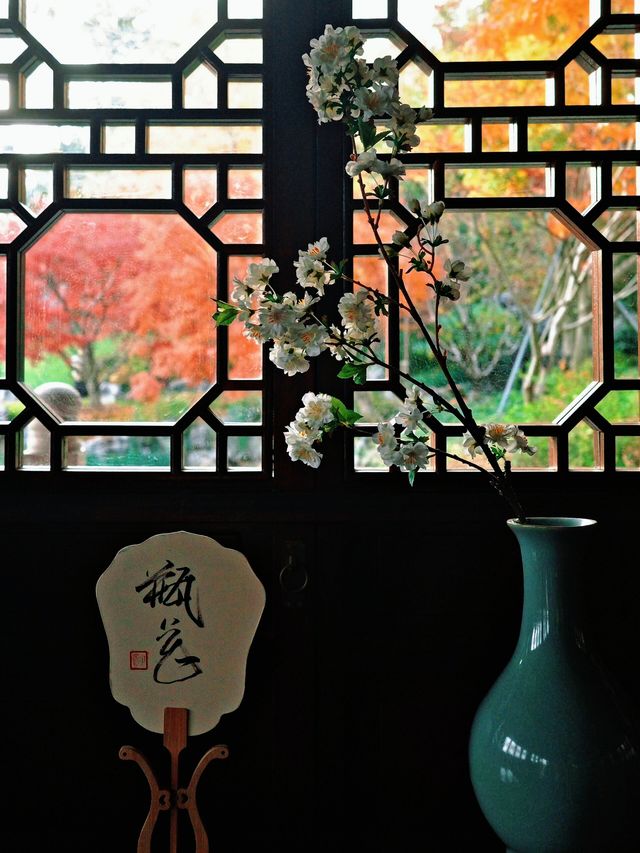 上海世博文化公園裡隱藏的寶藏園林!申園也太仙了叭~ 上海世博文化公園裡隱藏的寶藏園林!申園也太仙了叭~