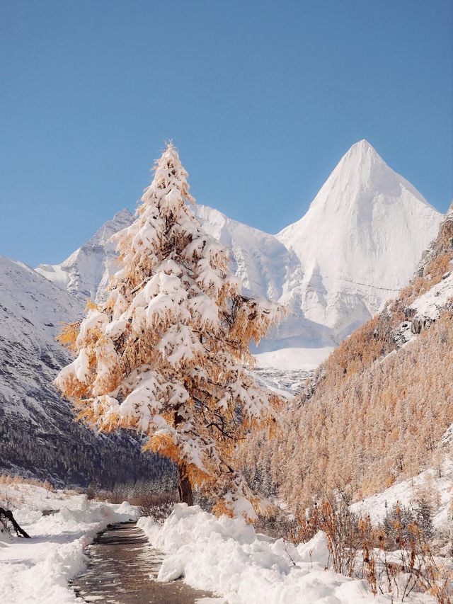 在稻城亞丁，看到了中國最壯麗的秋天和冬天