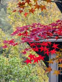 江南詩意泡湯體驗