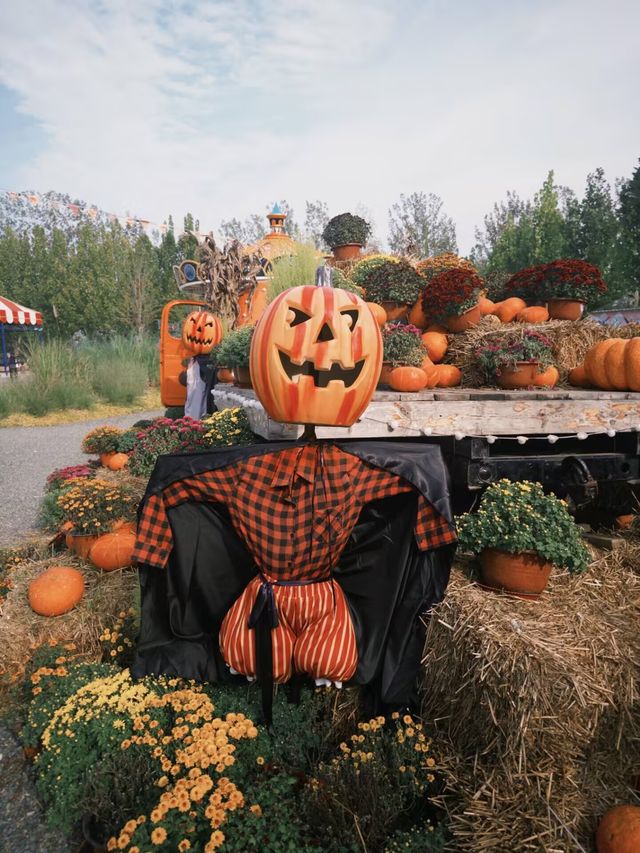 北京遛娃丨森林中的童話世界,地鐵直達!! 北京遛娃丨森林中的童話世界,地鐵直達!!