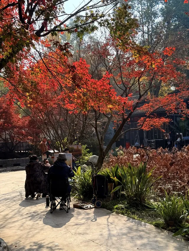 在成都隱藏的江南園林!感受一場盛大的秋天 在成都隱藏的江南園林!感受一場盛大的秋天