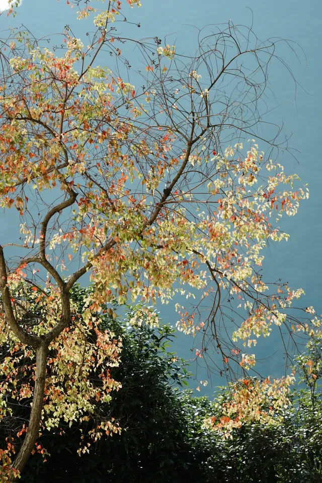 廣州出發陽朔週末兩日遊（緊湊版）