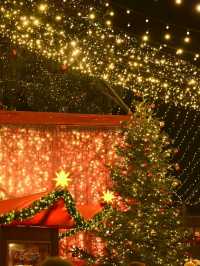 Cozy Vibes at Cologne Christmas Market 🇩🇪🎄✨