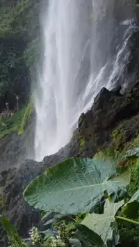 興義:高鐵開通!週末逛峽谷看瀑布(無車版