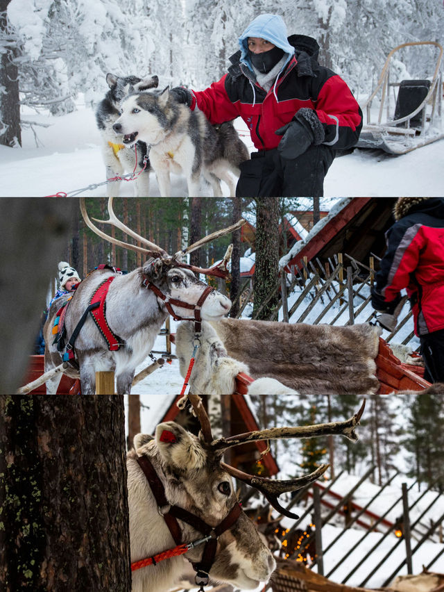 在冰島火山下，於芬蘭玻璃屋裡共赴極光之約