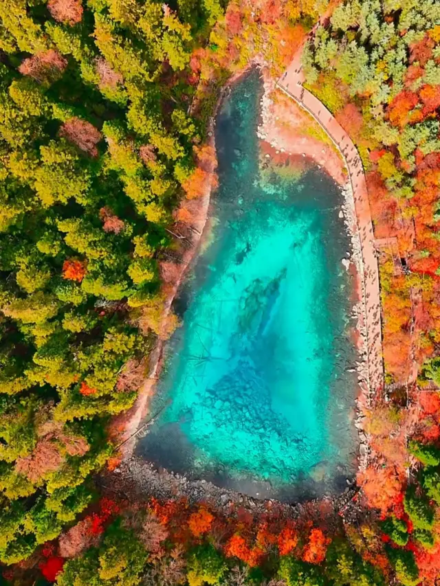 Winter in Jiuzhaigou offers a unique scenery!