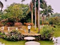 Hanoi’s Urban Oases: A Guide to the Best City Parks