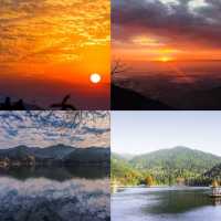 廬山杉與山青民宿|躺進雲端的森系桃花源