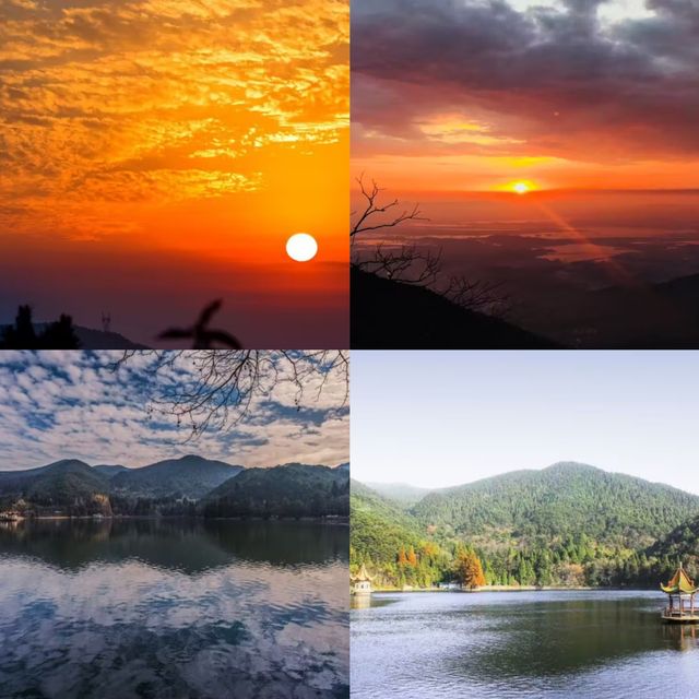 廬山杉與山青民宿|躺進雲端的森系桃花源 廬山杉與山青民宿|躺進雲端的森系桃花源